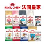 Royal皇家系列-限定優惠中