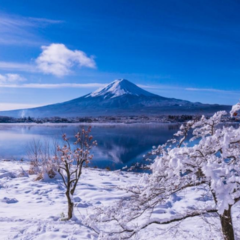 富士山一日遊