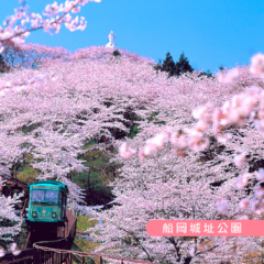 日本東北．第二人半價