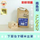 網購推薦-日本現碾魚沼越光米