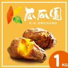 網購推薦-瓜瓜園冰烤地瓜 網購推薦-瓜瓜園冰烤地瓜