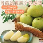 網購推薦-日本空運直送_水晶梨