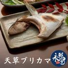 網購推薦-日本巨大寒鰤下巴