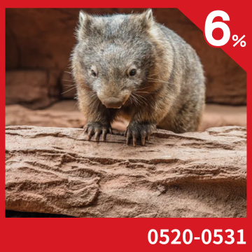 Wild Life 雪梨野生動物園
