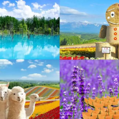 北海道富良野一日遊