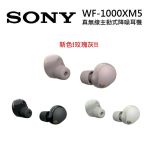SONY XM5