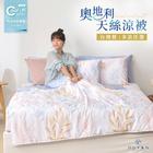 網購推薦-奧地利天絲涼被