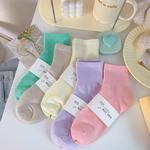 春夏10色女襪組