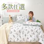 網購推薦-舒柔羽絲絨床包被組 網購推薦-舒柔羽絲絨床包被組