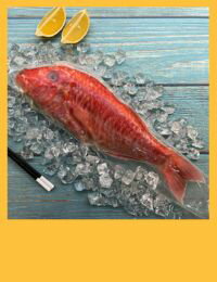 網購推薦-澎湖現流秋姑 420g