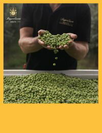 網購推薦-特級初榨橄欖油| 0.1酸價