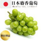 網購推薦-空運日本山梨縣麝香葡萄 網購推薦-空運日本山梨縣麝香葡萄