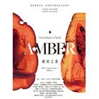 網購推薦-琥珀之書