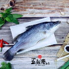 網購推薦-五朝港水產-台灣冠軍金目鱸魚