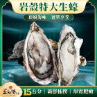 網購推薦-五朝港水產-岩殼特大生蠔