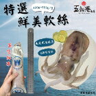 網購推薦-五朝港水產-4A特選鮮美軟絲